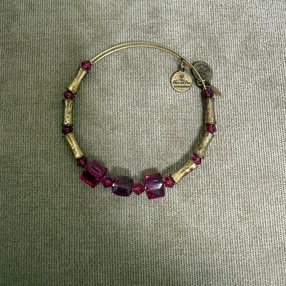 Alex and Ani Gold and Pink Charm Bracelet